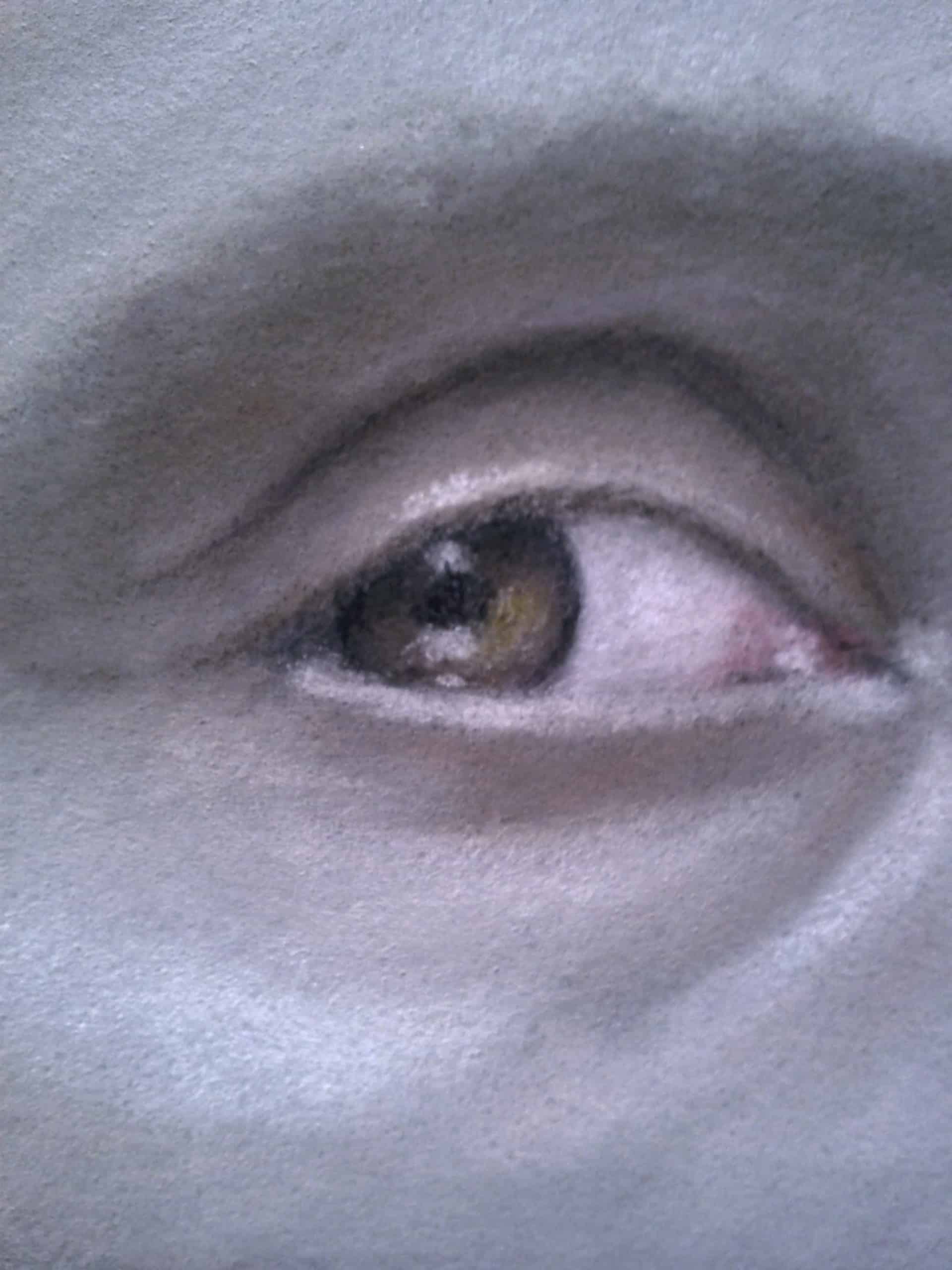 Hannibal portrait (right eye close-up)